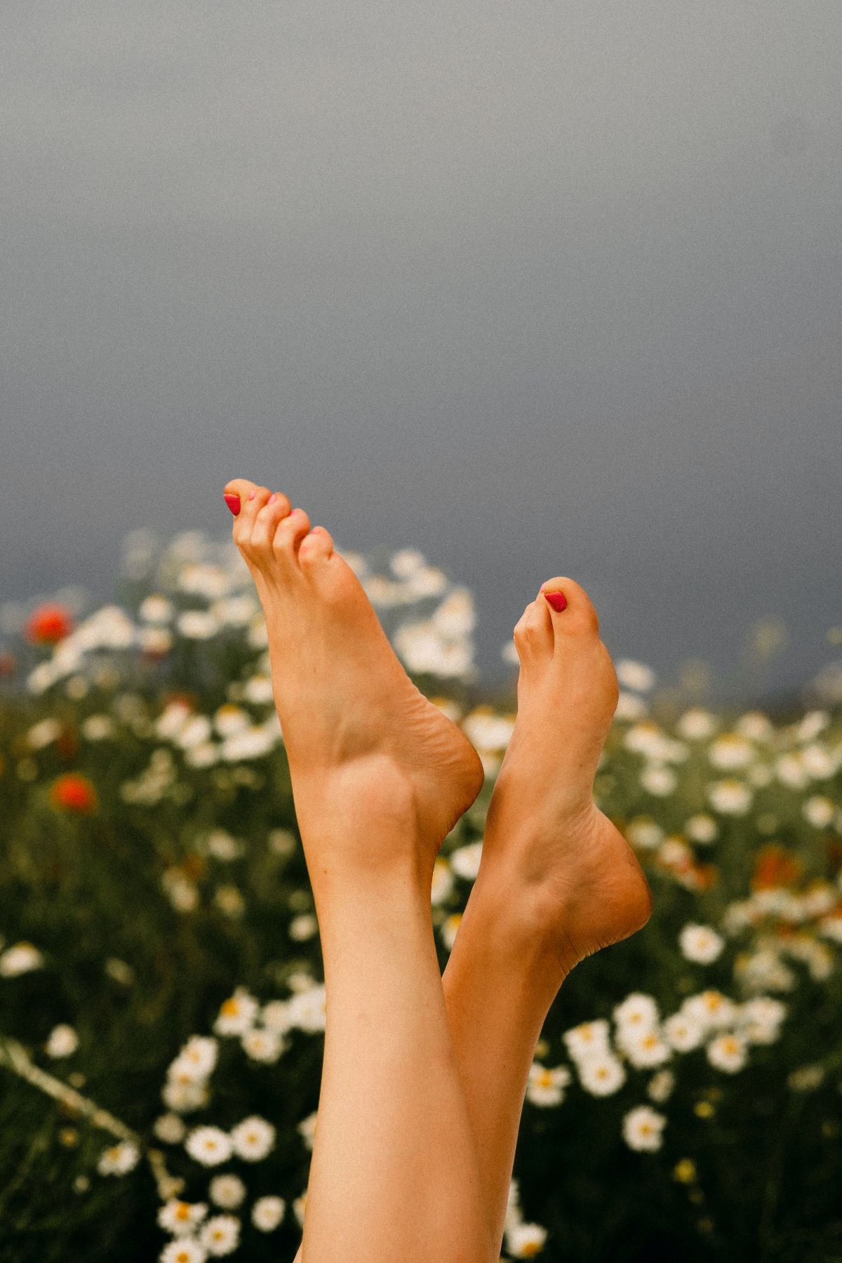 pedicure painted nails panache salon and spa erie pa